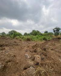 Prime Residential Plot